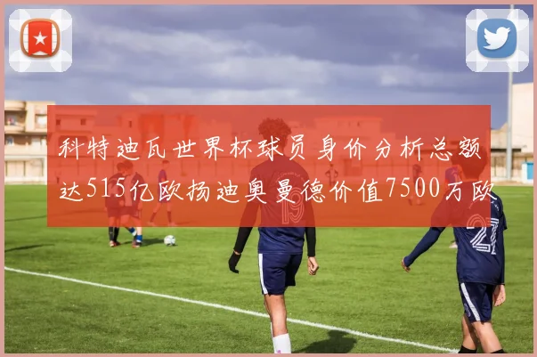 科特迪瓦世界杯球员身价分析总额达515亿欧扬迪奥曼德价值7500万欧
