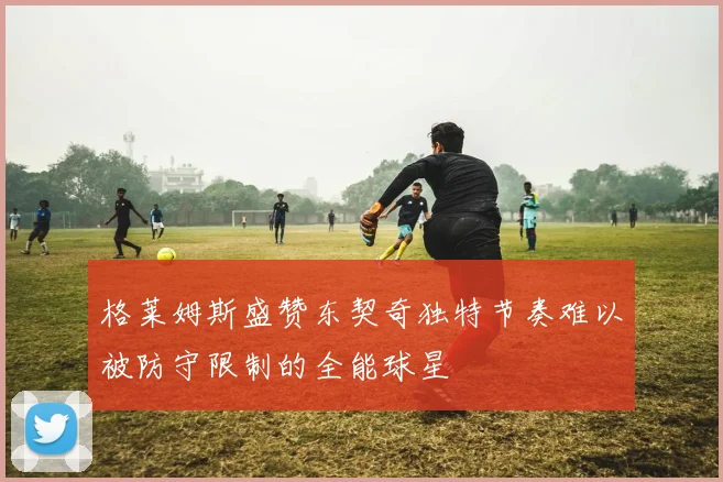 格莱姆斯盛赞东契奇独特节奏难以被防守限制的全能球星